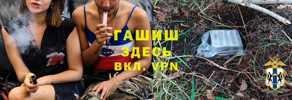 соль ск Надым