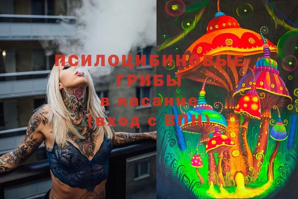 соль ск Надым