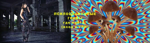 соль ск Надым