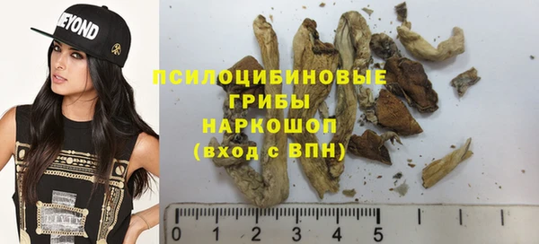 соль ск Надым